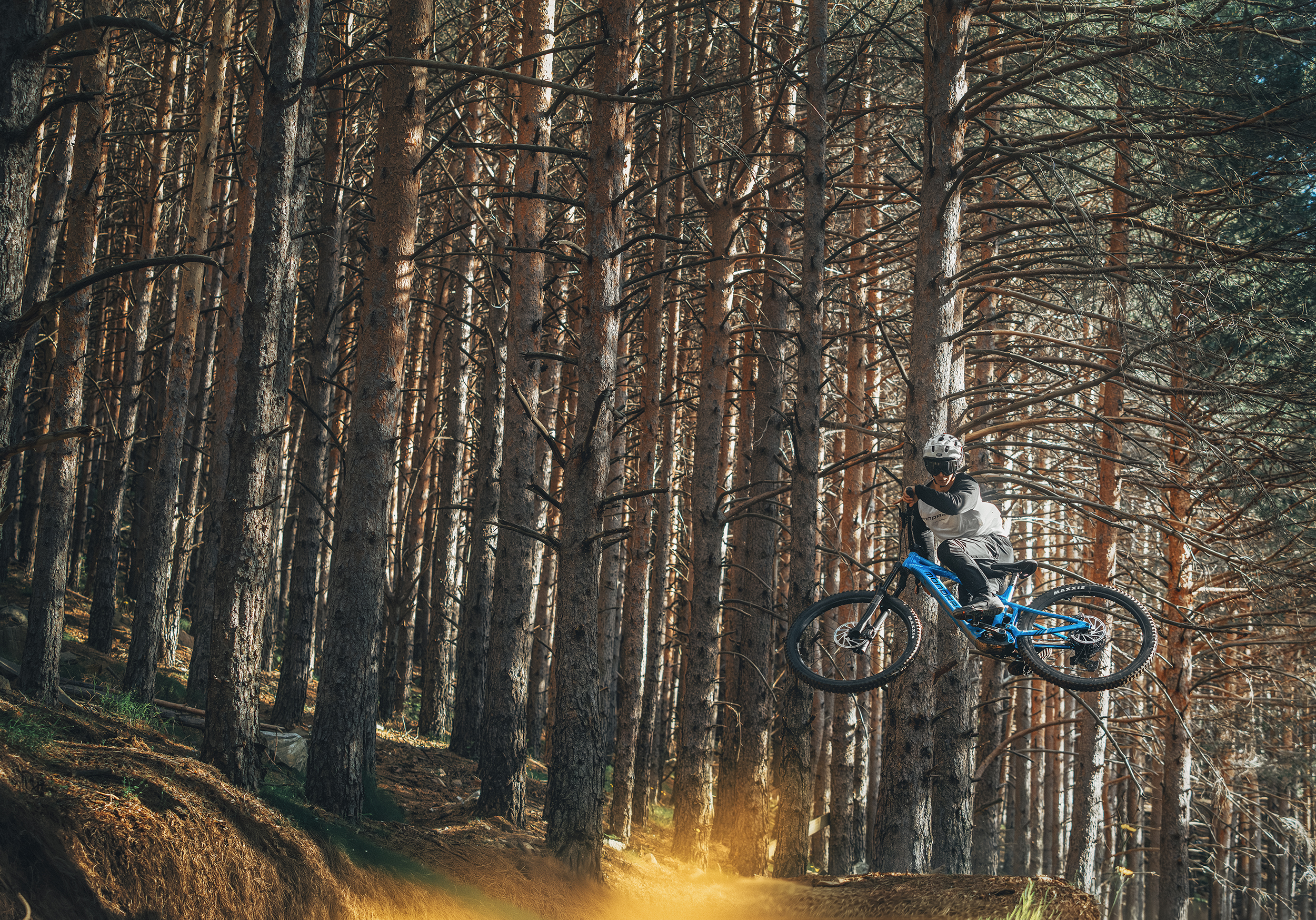 Werkstattgeprüfte Test- und Used-Bikes im Shop